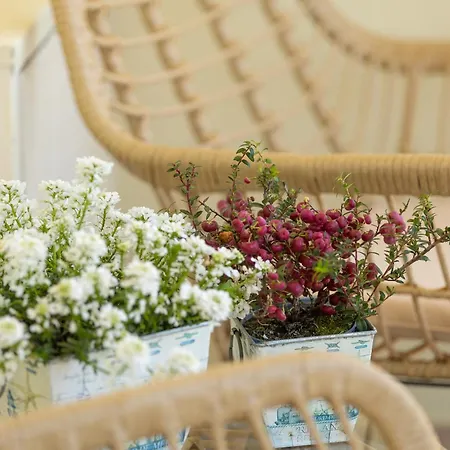 Il Castellaccio * Rimini