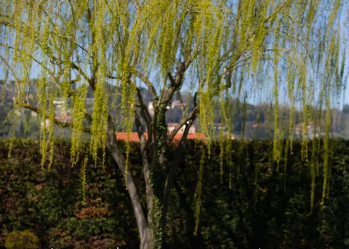 度假居 Il Castellaccio 里米尼