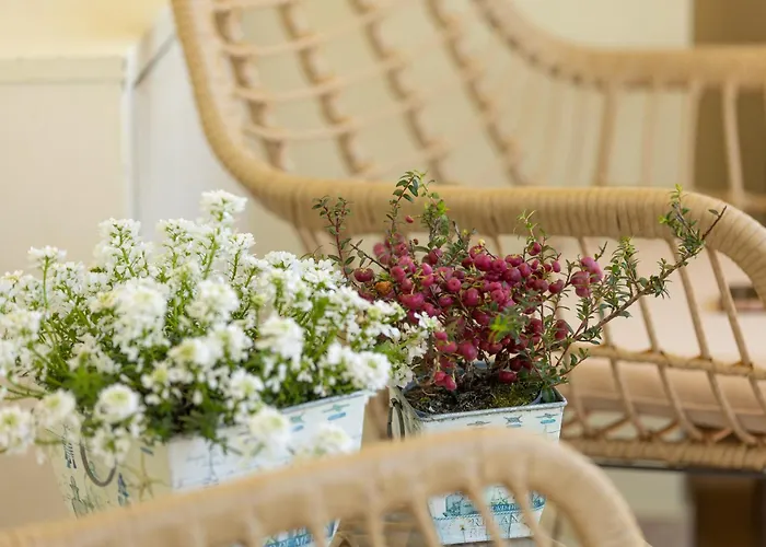 Il Castellaccio * 里米尼